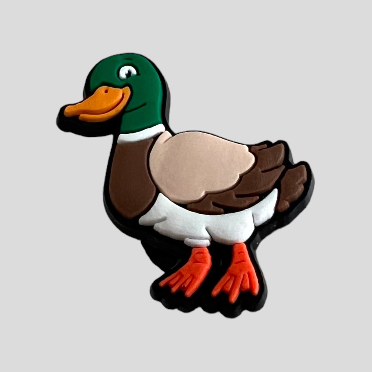 Duck | Animals