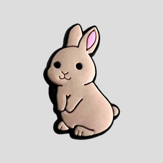 Rabbit | Animals