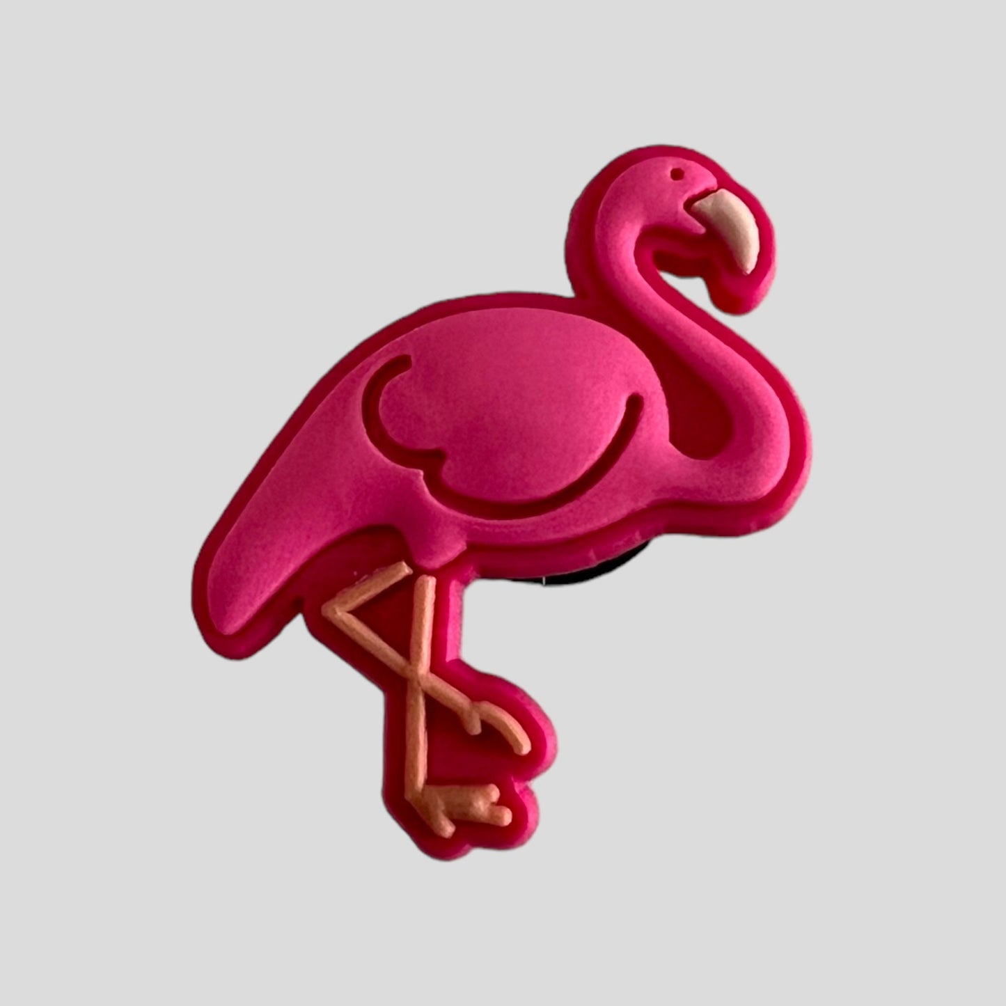 Flamingo Bright | Animals